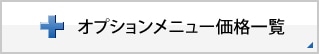 オプションメニュー価格一覧