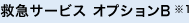 救急サービス オプションB※1