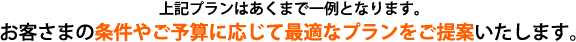 上記プランはあくまで一例となります。お客さまの条件やご予算に応じて最適なプランをご提案いたします。