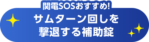 関電SOSおすすめ!サムターン回しを撃退する補助錠