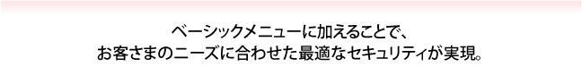 ベーシックメニューに加えることで、お客さまのニーズに合わせた最適なセキュリティが実現。