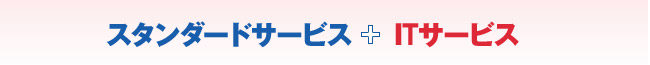 スタンダードサービス+ITサービス